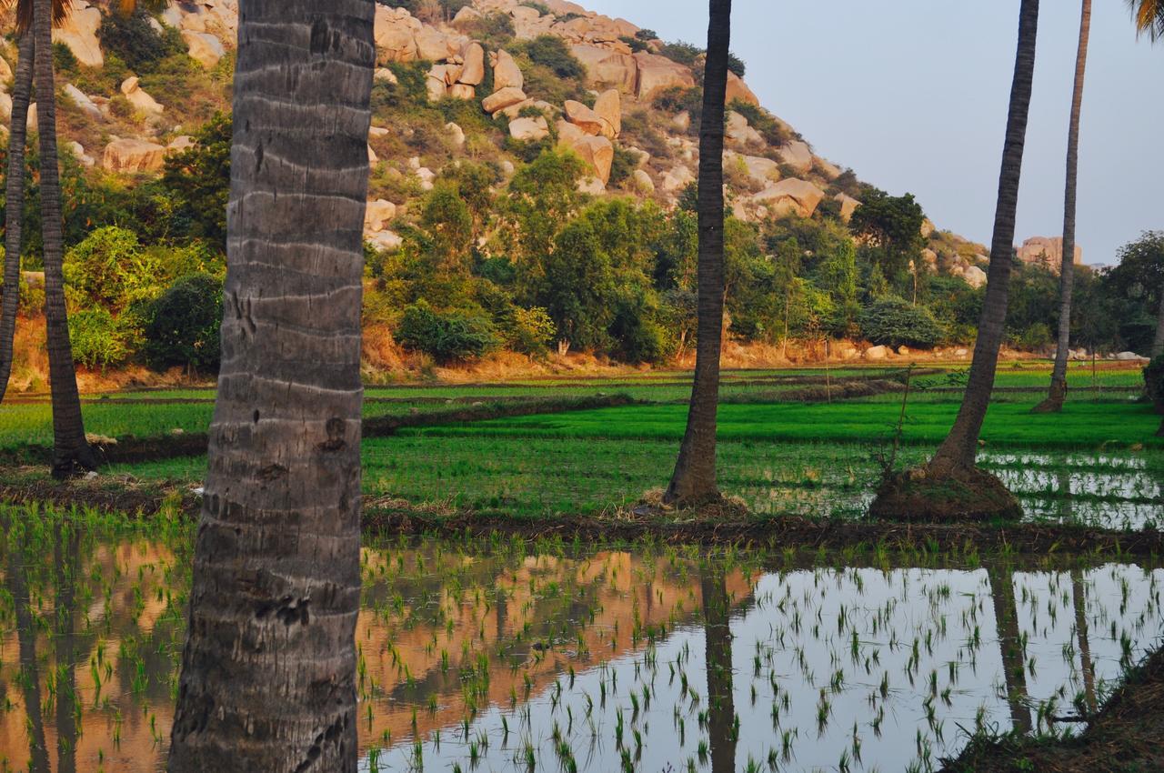 Uma Shankar Hampi Dış mekan fotoğraf
